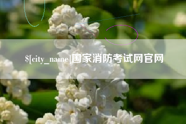泗阳国家消防考试网官网