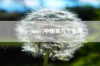 泗阳中国第九个金牌