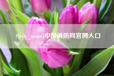 泗阳中国消防网官网入口