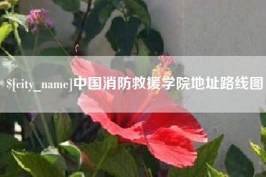 泗阳中国消防救援学院地址路线图