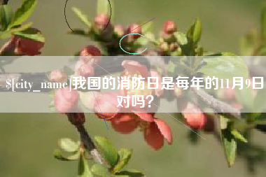 泗阳我国的消防日是每年的11月9日对吗？