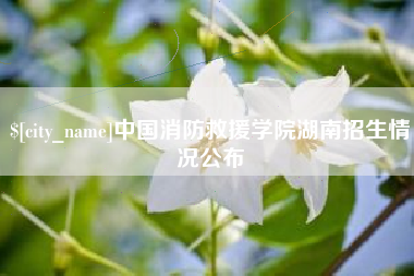 泗阳中国消防救援学院湖南招生情况公布