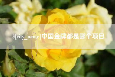 泗阳中国金牌都是哪个项目