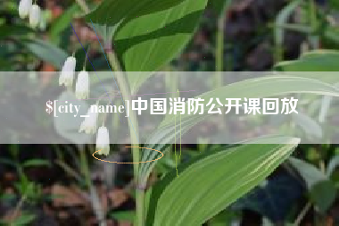 泗阳中国消防公开课回放