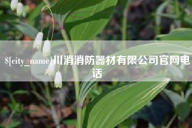 泗阳川消消防器材有限公司官网电话