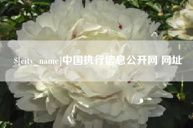 泗阳中国执行信息公开网 网址