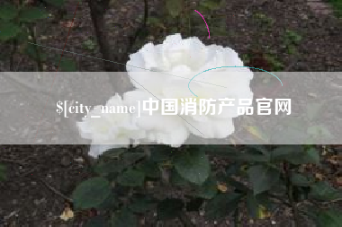 泗阳中国消防产品官网