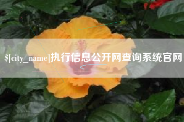 泗阳执行信息公开网查询系统官网