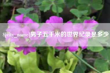 泗阳男子五千米的世界纪录是多少