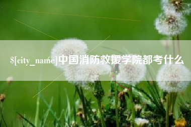 泗阳中国消防救援学院都考什么