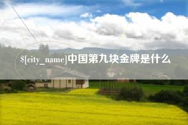 泗阳中国第九块金牌是什么