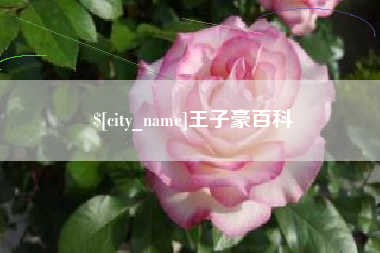 泗阳王子豪百科