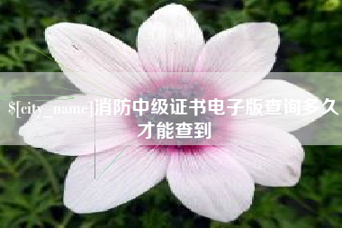 泗阳消防中级证书电子版查询多久才能查到