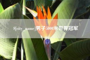 泗阳男子5000米世界冠军