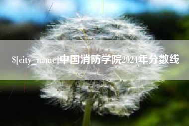 泗阳中国消防学院2024年分数线