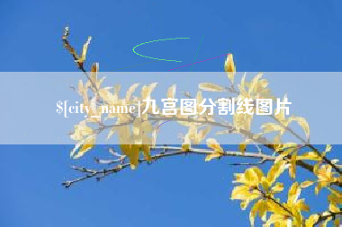 泗阳九宫图分割线图片