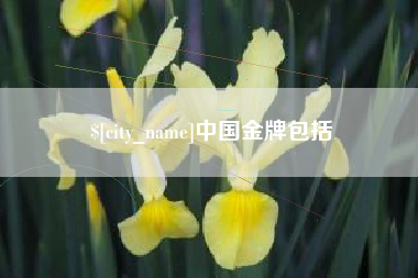 泗阳中国金牌包括