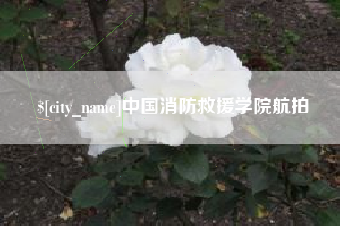 泗阳中国消防救援学院航拍