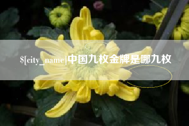 泗阳中国九枚金牌是哪九枚