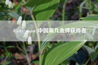 泗阳中国第九金牌获得者