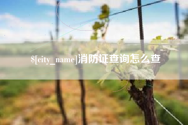 泗阳消防证查询怎么查