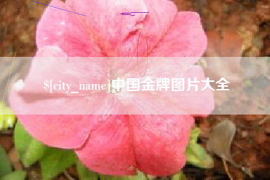 泗阳中国金牌图片大全
