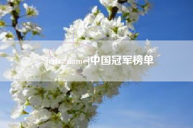 泗阳中国冠军榜单