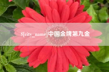 泗阳中国金牌第九金