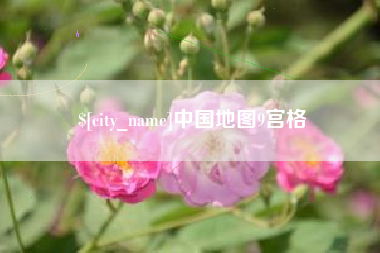 泗阳中国地图9宫格