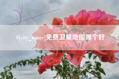 泗阳免费卫星地图哪个好