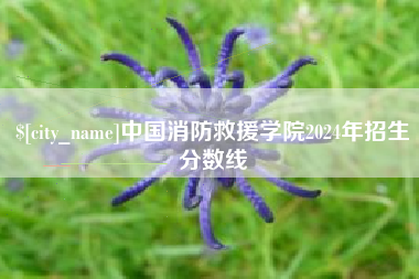 泗阳中国消防救援学院2024年招生分数线