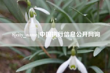 泗阳中国执行信息公开网询