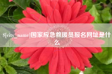 泗阳国家应急救援员报名网址是什么