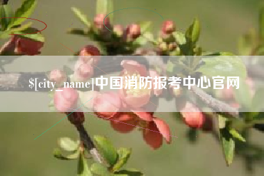 泗阳中国消防报考中心官网