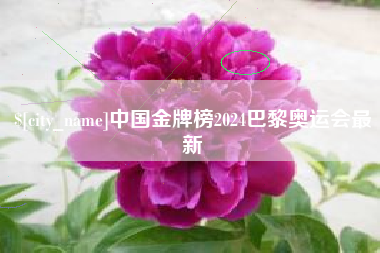 泗阳中国金牌榜2024巴黎奥运会最新