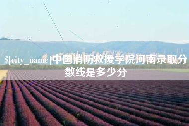 泗阳中国消防救援学院河南录取分数线是多少分