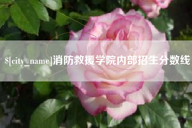 泗阳消防救援学院内部招生分数线