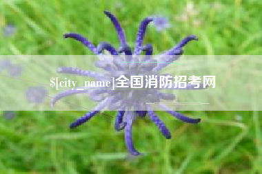 泗阳全国消防招考网
