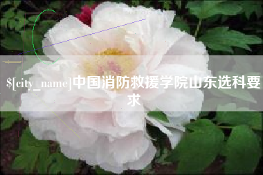 泗阳中国消防救援学院山东选科要求
