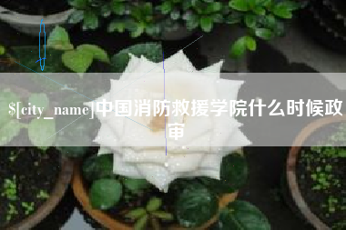 泗阳中国消防救援学院什么时候政审