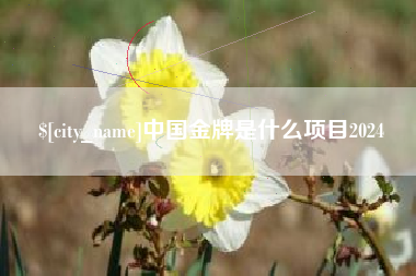 泗阳中国金牌是什么项目2024