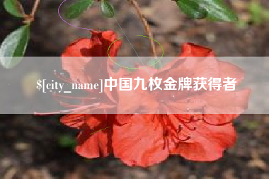 泗阳中国九枚金牌获得者