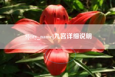 泗阳九宫详细说明