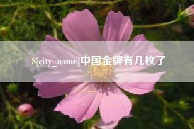 泗阳中国金牌有几枚了