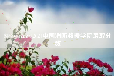 泗阳2021中国消防救援学院录取分数