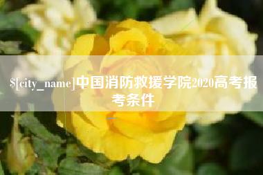 泗阳中国消防救援学院2020高考报考条件
