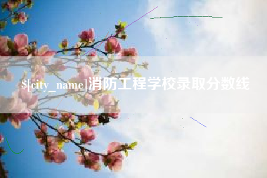 泗阳消防工程学校录取分数线