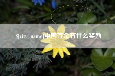 泗阳中国夺金有什么奖励