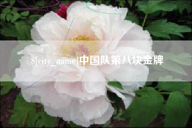 泗阳中国队第八块金牌