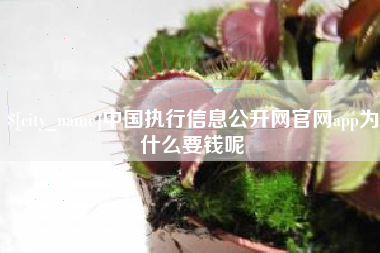 泗阳中国执行信息公开网官网app为什么要钱呢